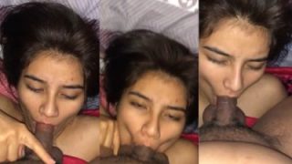 xxx desi Shimla girl’s mindblowing blowjob to her lover